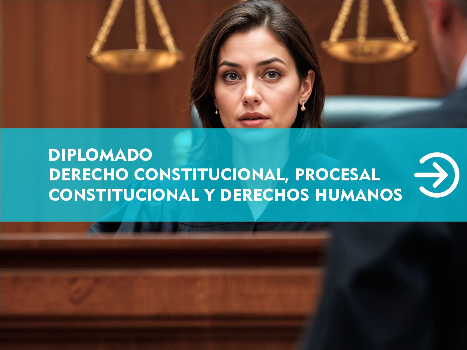 Portada de Diplomado en Derecho Constitucional, Procesal Constitucional y Derechos Humanos